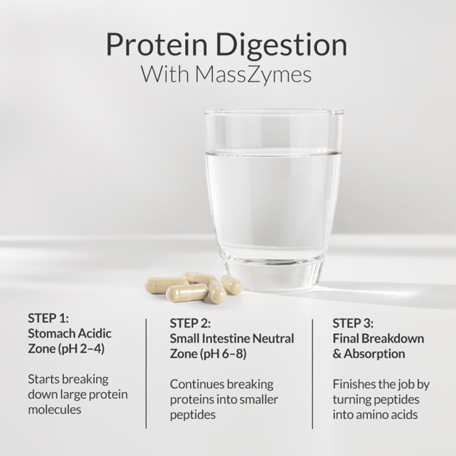 MassZymes